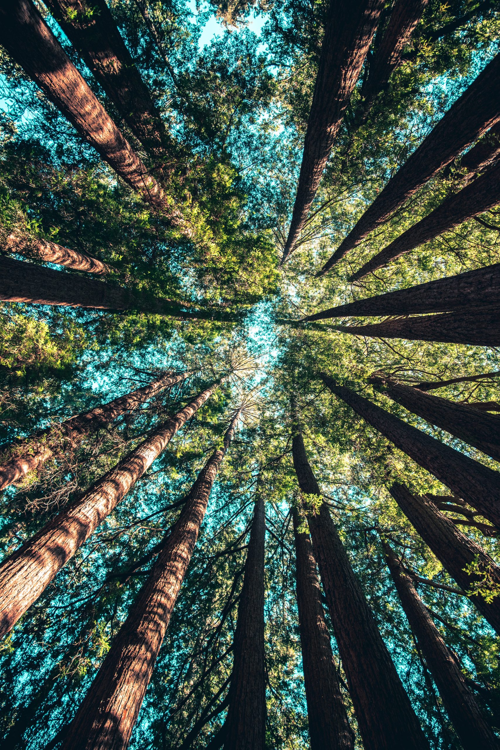casey-horner-487085-unsplash