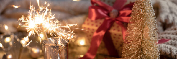 Święta i Nowy Rok!